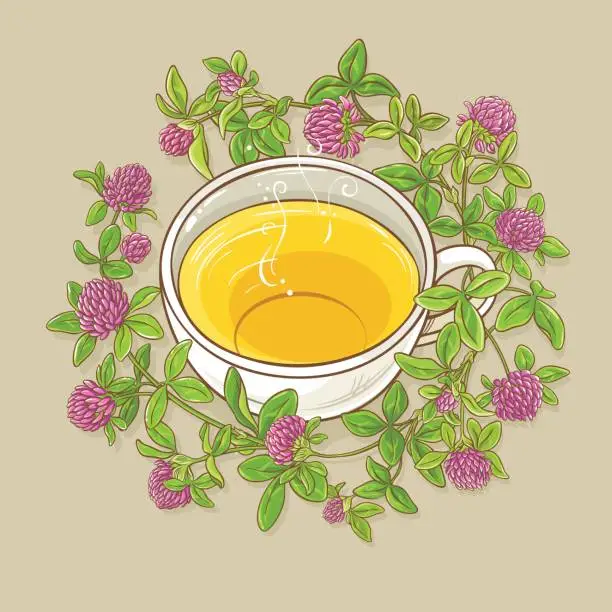 Vector illustration of cup of clover tea