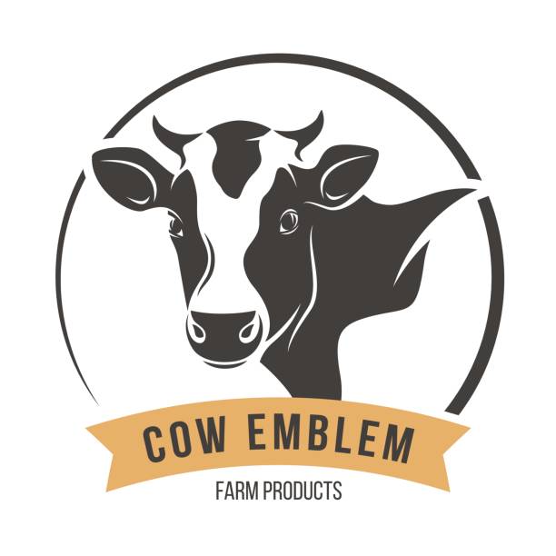 ilustraciones, imágenes clip art, dibujos animados e iconos de stock de etiqueta de emblema de silueta de cabeza de vaca. ilustración de vector. - vacas