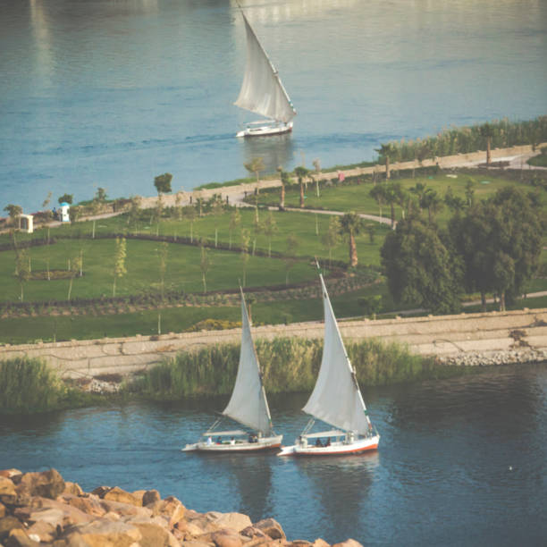istock Feluccas sailing on the Nile near Aswan, Egypt 679537218