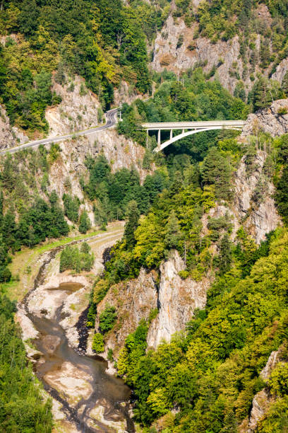 istock mountain road and bridge in forest 679537532
