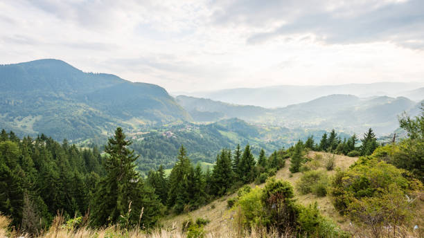 istock colorful countryside view in carpathians 679537598