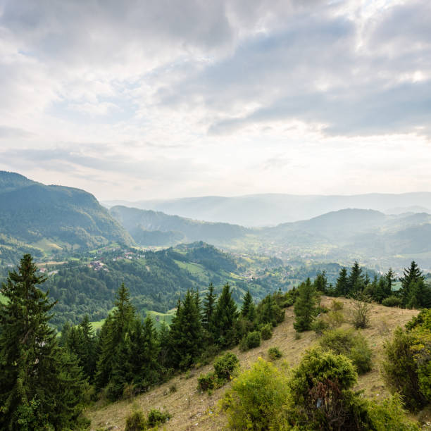 istock colorful countryside view in carpathians 679537600