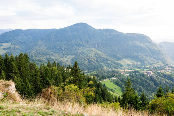 istock colorful countryside view in carpathians 679537618