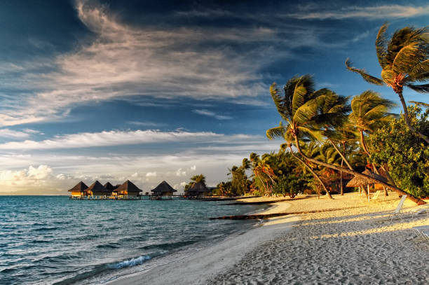 piękna plaża bora bora o zachodzie słońca - polynesia bungalow beach sunrise zdjęcia i obrazy z banku zdjęć