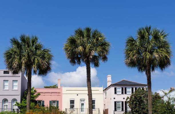 istock Rainbow Row, Charleston, South Carolina 679549494