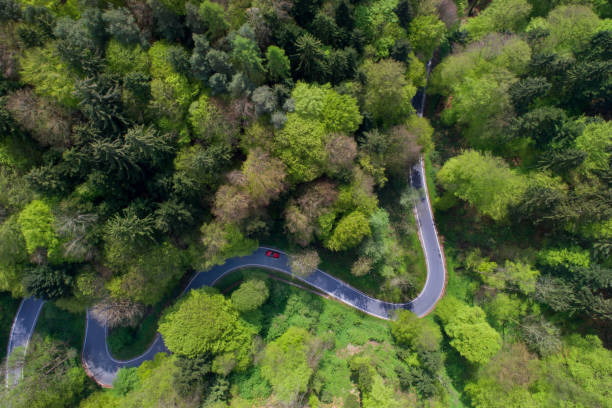 areal vue sur une route sinueuse - country road dirt road road single lane road photos et images de collection