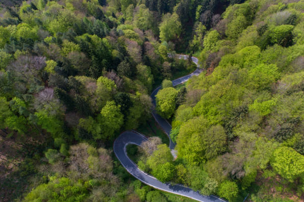 An aerial view of a winding and curvy road in the hillside surrounded with lush green forest.