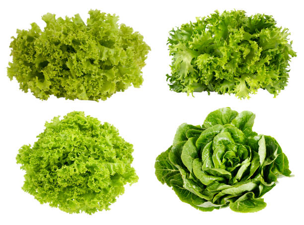 istock Fresh green lettuce isolated on white background. 679555896