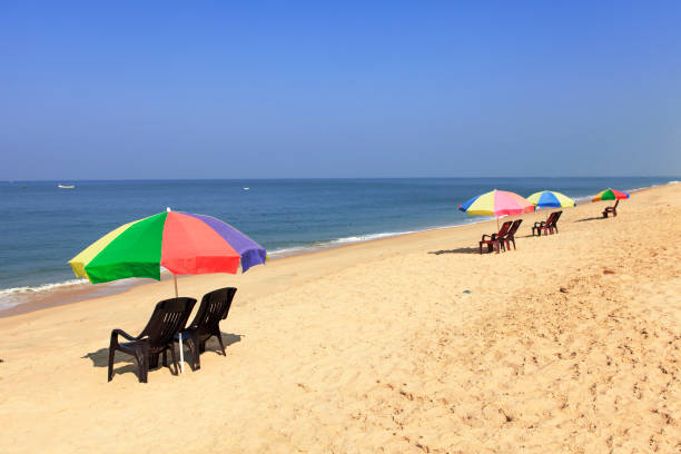 istock chairs and umbrellas on the beach 679558854