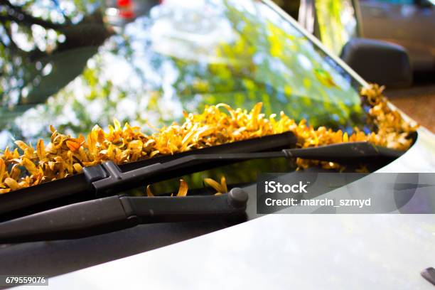 Autumn Stock Photo - Download Image Now - Autumn Leaf Color, Car, Germany