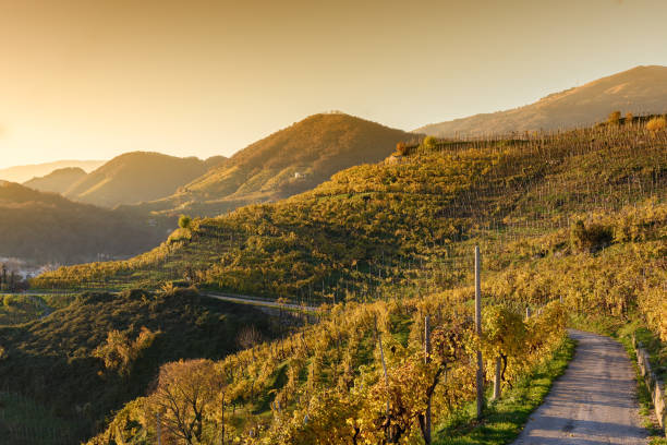 pôr do sol na farra di soligo, vinho terras de prosecco - veneto - fotografias e filmes do acervo