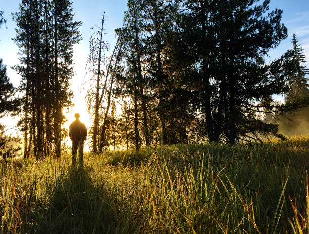 istock Sunrise Contemplation in Nature 679582674