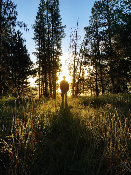 istock Sunrise Contemplation in Nature 679582690