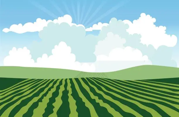 Vector illustration of Landscape with green field