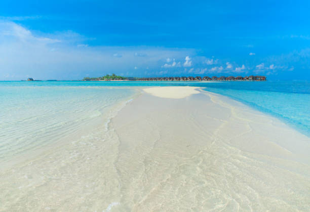 istock beach with Maldives 679589386