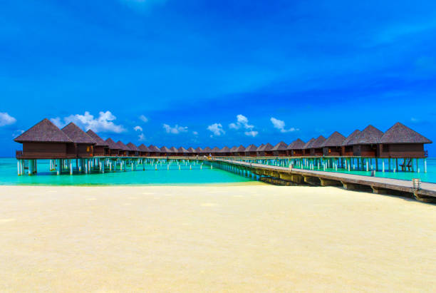 istock tropical beach in Maldives 679589406