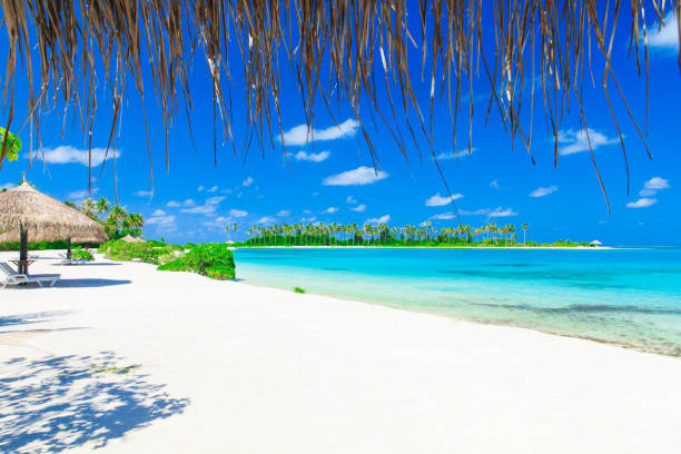 istock sea in Maldives 679589600