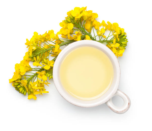olio di colza e fiori isolati su sfondo bianco - rape oil foto e immagini stock