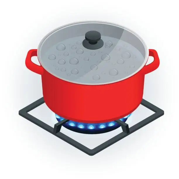 Vector illustration of Isometric A pot on a gas cooker on a white background.