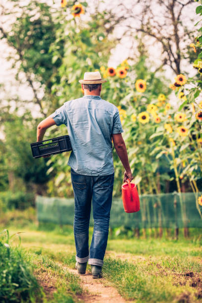 istock Man On The Way To Planting Letucce 679610230
