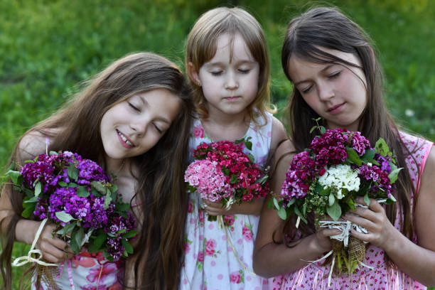 portrait portrait of children предподростковый возраст stock pictures, royalty-free photos & images