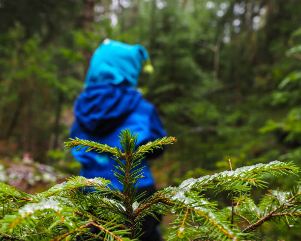 istock Unrecognizable boy in blue walking away from a spruce tree 679615172