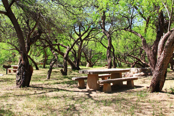 istock El Bosquecito Picnic Area in Colossal Cave Mountain Park 679616426