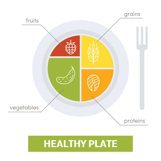Healthy plate concept Healthy plate concept. Vector illustration of balanced meal half full illustrations stock illustrations