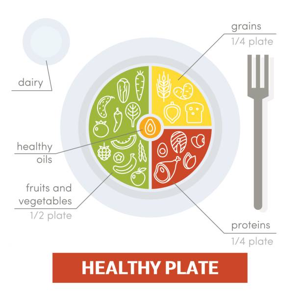 ilustrações de stock, clip art, desenhos animados e ícones de healthy plate concept - eat well plate