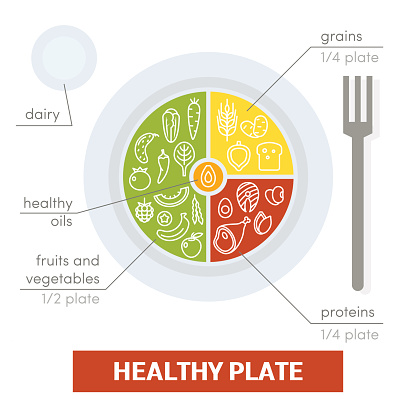 Healthy plate concept. Vector illustration of balanced meal