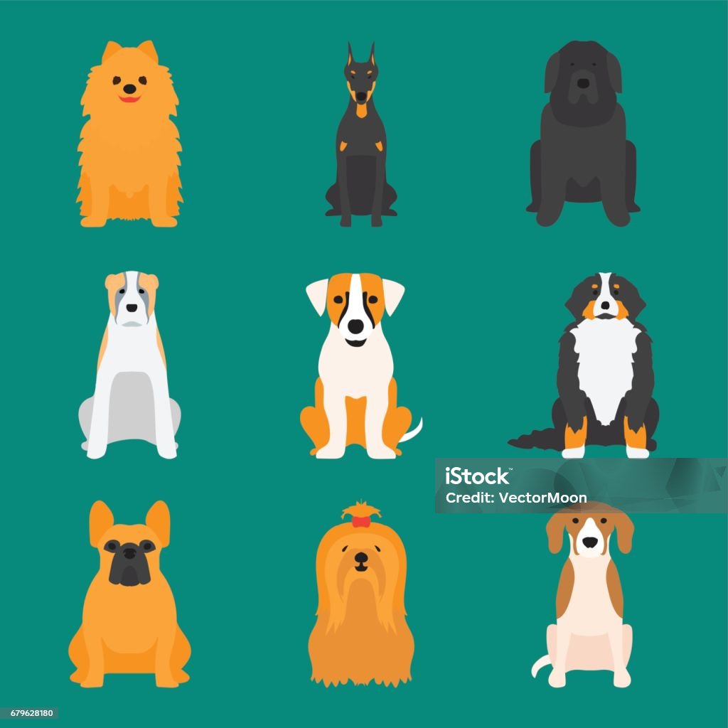 Funny cartoon dog character bread cartoon puppy friendly adorable canine vector illustration Funny cartoon dog character bread in cartoon style happy puppy and isolated friendly mammal vector illustration. Domestic element flat comic adorable mascot canine. Animal stock vector