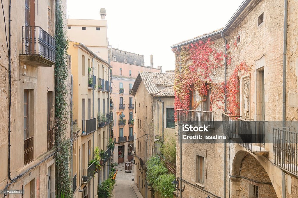 diente Inmundicia telegrama Calle Estrecha En El Casco Antiguo De Girona Foto de stock y más banco de imágenes de Balcón - Balcón, Baldosa, Barrote de metal - iStock diente Inmundicia telegrama Calle Estrecha En El Casco Antiguo De Girona Foto de stock y más banco de imágenes de Balcón - Balcón, Baldosa, Barrote de metal - iStock