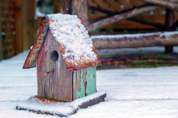 istock Birdhouse covered with Snow 679661548