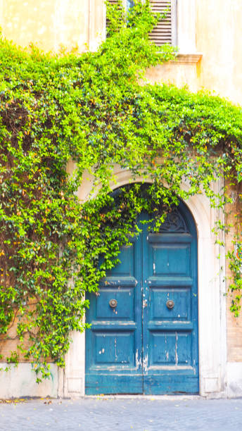 istock Old European door with tree stick on 679661912