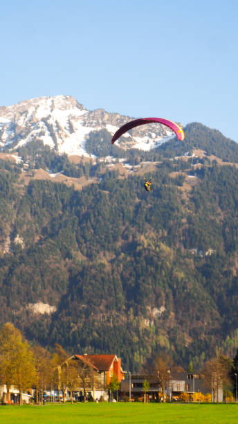 istock Paragliding at Interlaken park with snow mountain background 679662126