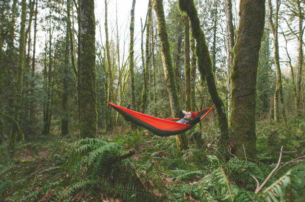 istock Young woman in hammock in forest 679673076