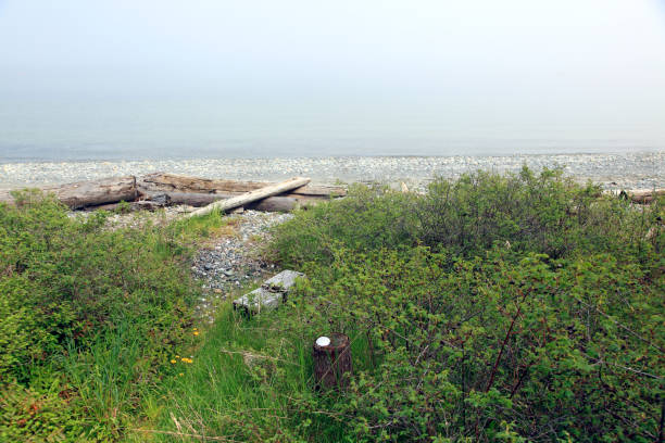 istock Natural And Wild West Coast Beach 679679926