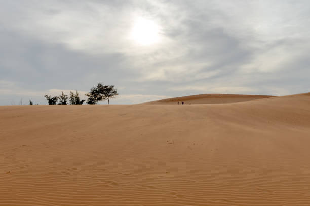 istock Sand dunes, Mui Ne South Vietnam Dec 2016 679686792
