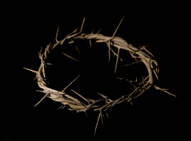 istock Crown of Thorns 679692396