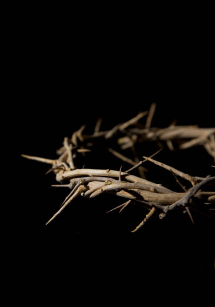 istock Crown of Thorns 679692444