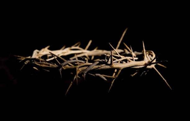 istock Crown of Thorns 679692448