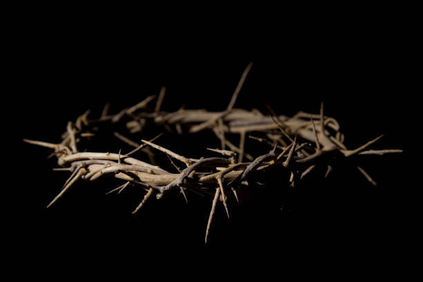 Crown of Thorns