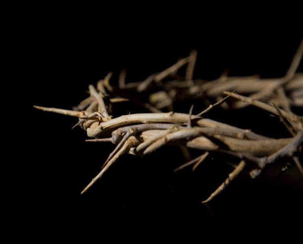 istock Crown of Thorns 679692472