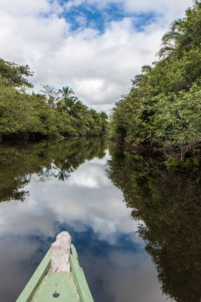 istock Chapadazia Mancina National Park 679693260
