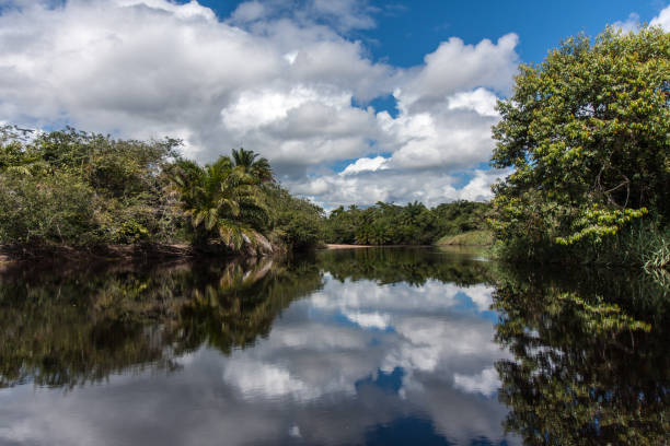 istock Chapadazia Mancina National Park 679693266