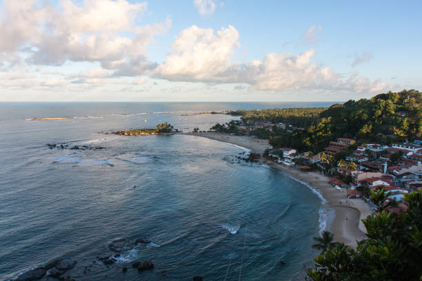 istock Mohoj Sao Paulo Island 679693308
