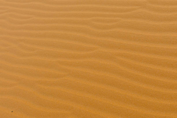 istock Sand dunes, Mui Ne South Vietnam Dec 2016 679693648