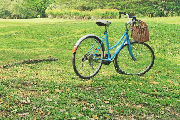 istock bicycle on the lawn at the park 679694538