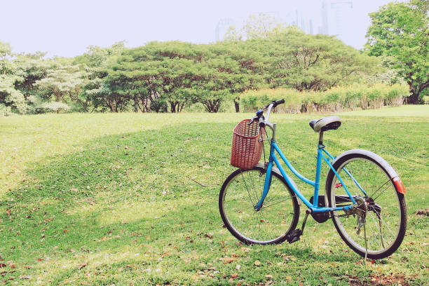 istock bicycle on the lawn at the park 679694540