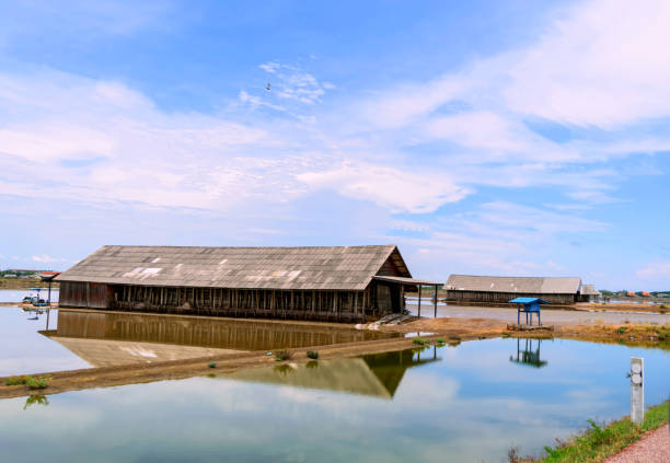 istock Storage of salt at salt field, with blue sky background. 679702082